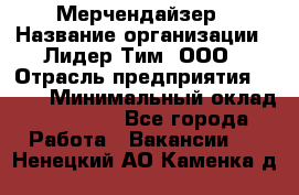 Мерчендайзер › Название организации ­ Лидер Тим, ООО › Отрасль предприятия ­ BTL › Минимальный оклад ­ 17 000 - Все города Работа » Вакансии   . Ненецкий АО,Каменка д.